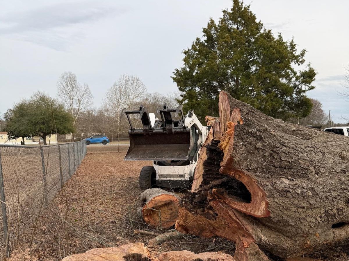 El Costeño Tree Service LLC